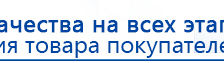ДЭНАС-ПКМ (13 программ) купить в Чистополе, Аппараты Дэнас купить в Чистополе, Дэнас официальный сайт denasolm.ru